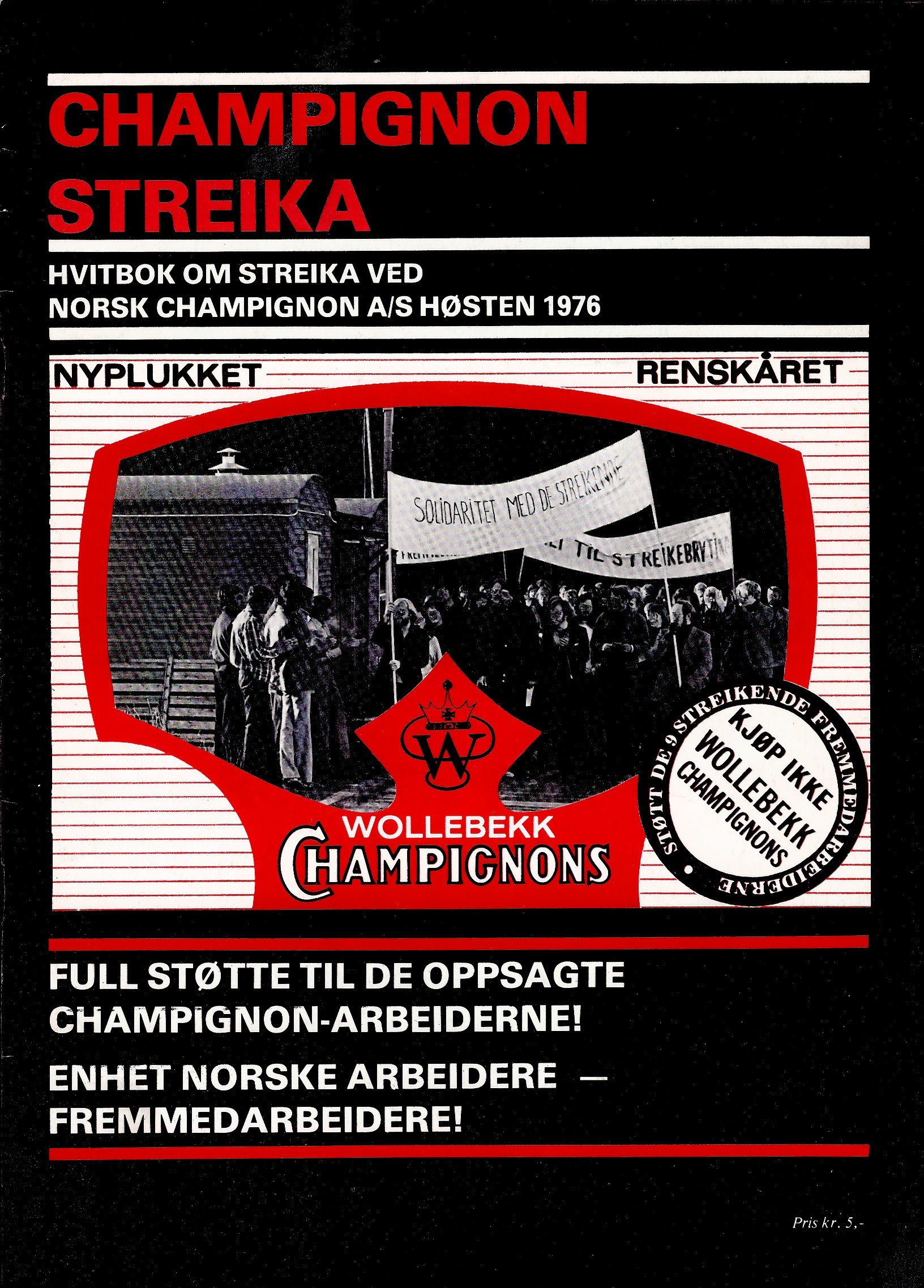 Hvitbok om Chamignon-streika